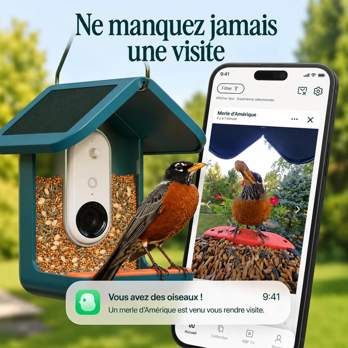 Birdbuddy Pro Mangeoire à Oiseaux Intelligente Solaire avec caméra, Identification des espèces à l’IA, Photos 5 MP, caméra vidéo 2K Ultra en Direct, vidéo au ralenti, Mise au Point de 6,6 cm, Bleu