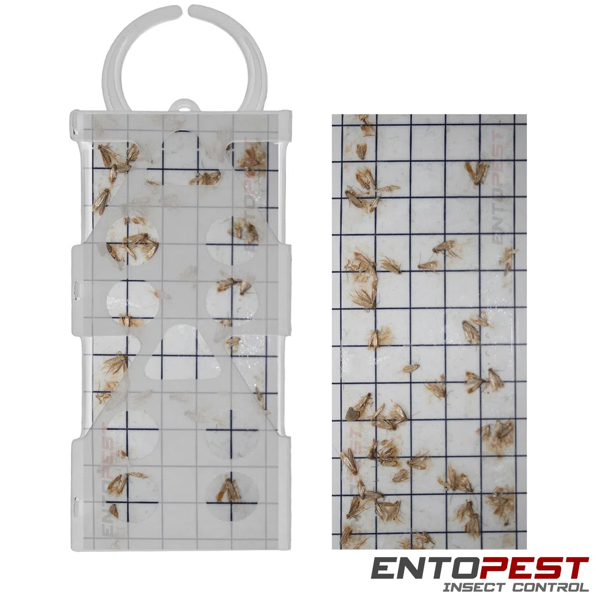 EntopeTraitement antimites Entopest | 10 recharges et 5 Supports réutilisables | Traitement antimites pour garderobe | Bandes antimites | Pastilles adhésives antimites | Pièges à Mites à phéromones