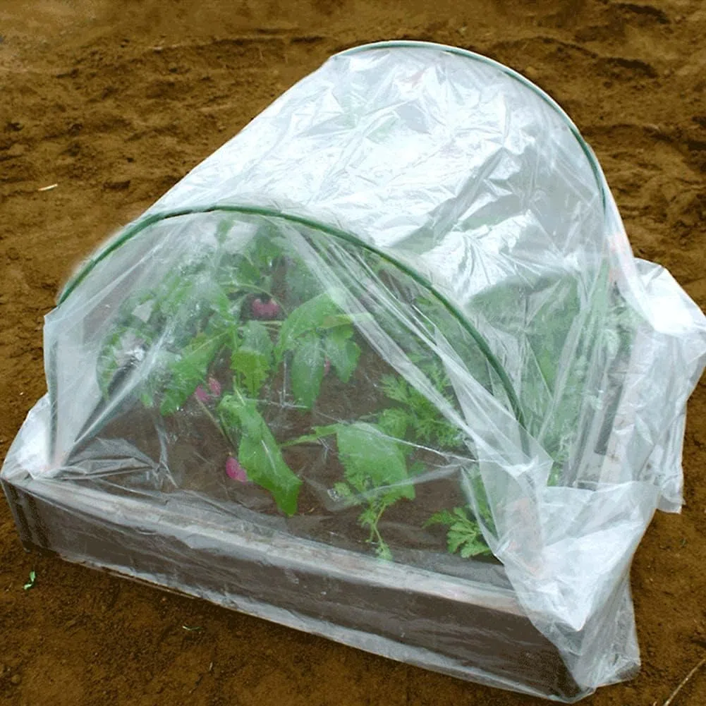 Bache Serre, 2 x 6m - Bache pour Tomates et Légumes, Extra-épais Clair Jardin Grandir Couverture De Polytunnel