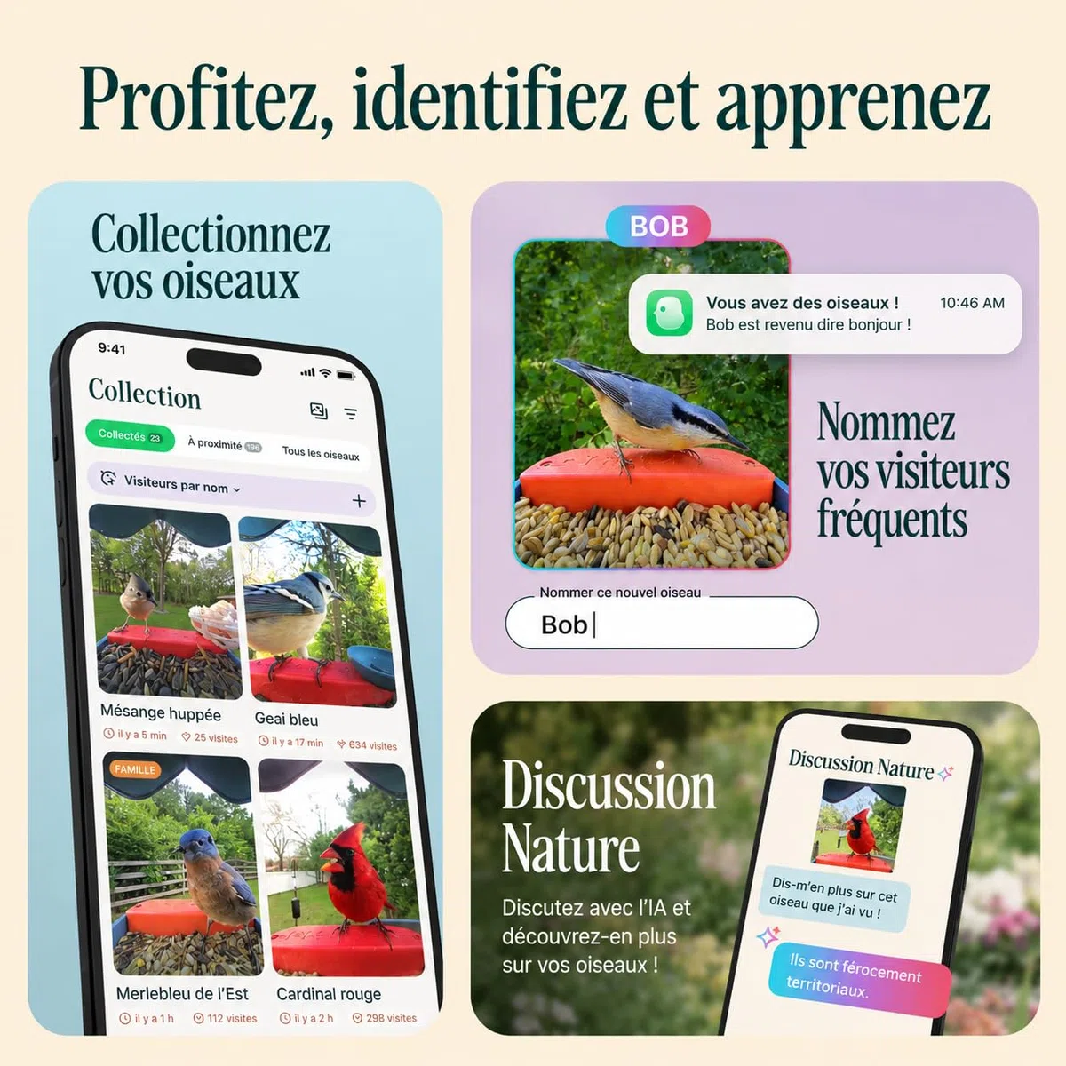 Birdbuddy Pro Mangeoire à Oiseaux Intelligente Solaire avec caméra, Identification des espèces à l’IA, Photos 5 MP, caméra vidéo 2K Ultra en Direct, vidéo au ralenti, Mise au Point de 6,6 cm, Bleu