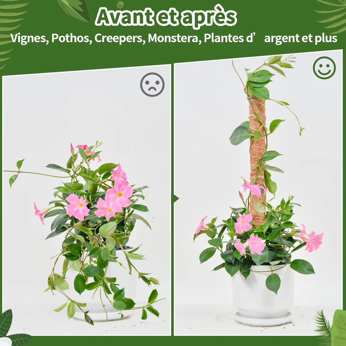Tuteur Monstera pour Plantes, SproutMaven Tuteur Plante Grimpante 4 Pièces Bâton de Coco de 40cm, Poteau Totémique pour Plantes de Jardin et Pots