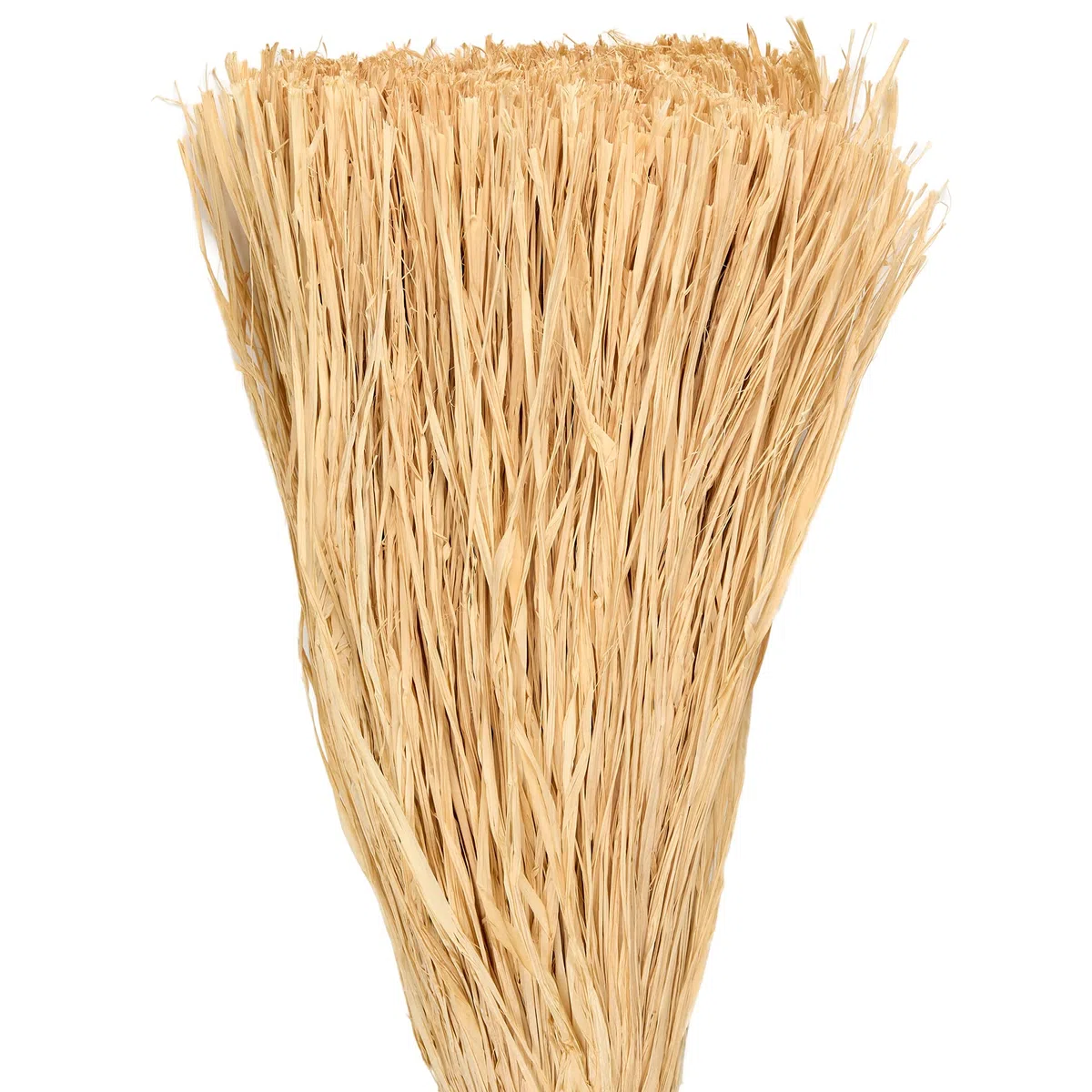 La Cordeline Raphia Naturel 90cm ± 2000 Liens coupés, Gaine 1kg