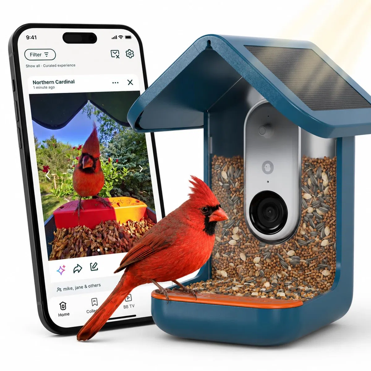 Birdbuddy Pro Mangeoire à Oiseaux Intelligente Solaire avec caméra, Identification des espèces à l’IA, Photos 5 MP, caméra vidéo 2K Ultra en Direct, vidéo au ralenti, Mise au Point de 6,6 cm, Bleu