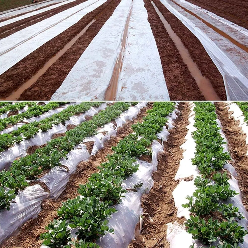 Bache Serre, 2 x 6m - Bache pour Tomates et Légumes, Extra-épais Clair Jardin Grandir Couverture De Polytunnel