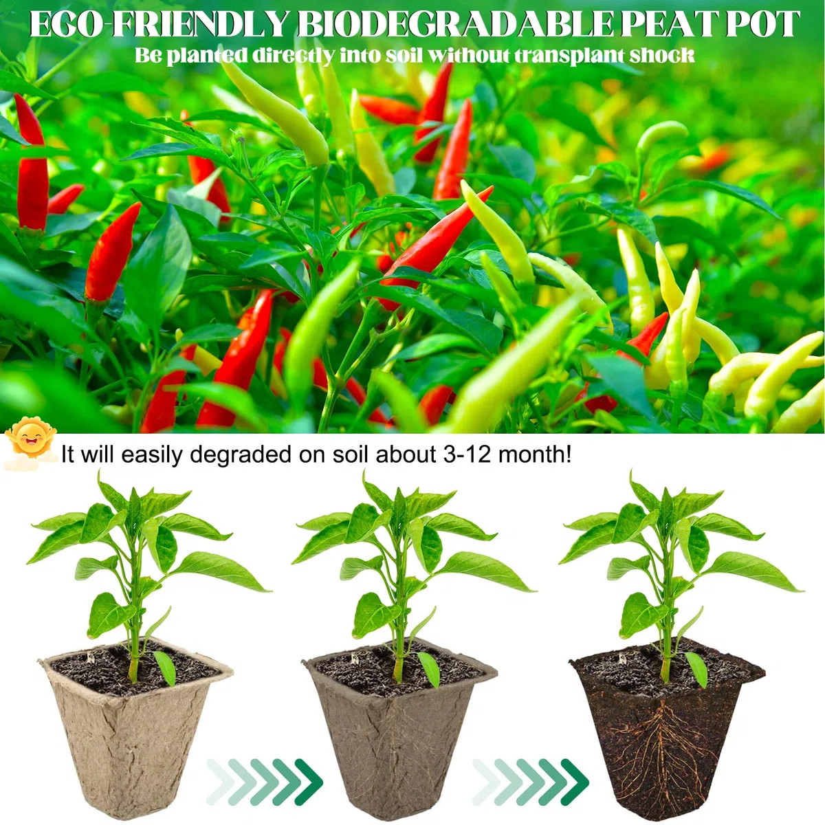 Kit de Semis Biodégradable – 10 Plateaux à Semis sans Trou + 40 Pots de Semis avec Trous de Drainage – Pulpe de Papier Compostable Écologique pour Graines, Légumes et Fleurs