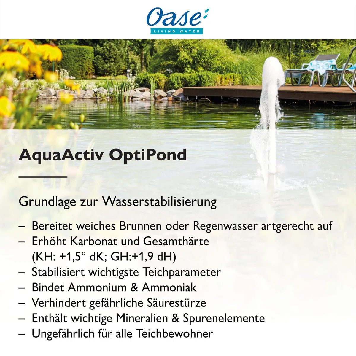 Oase 50557 AquaActiv OptiPond pour Bassin 500 ML