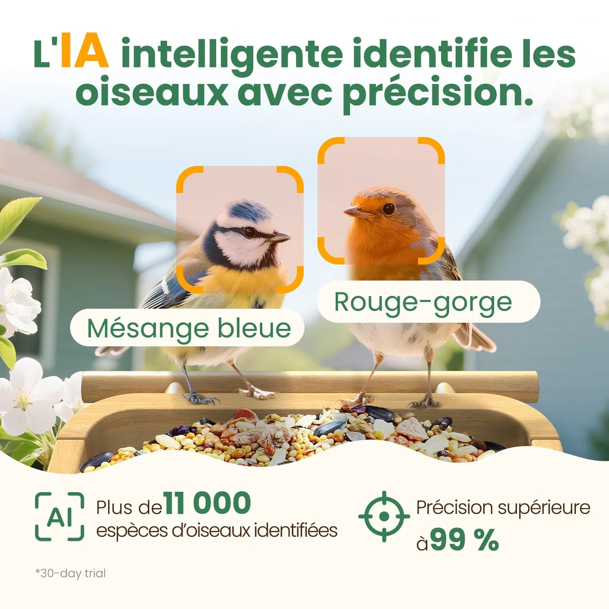 Mangeoire Oiseaux Caméra, Bambou Panneau Solaire | UHD 2,5K Identification IA, Vidéos Photos Temps Réel, sans Fil Extérieur, Déco Jardin pour Amateurs Ornithologie