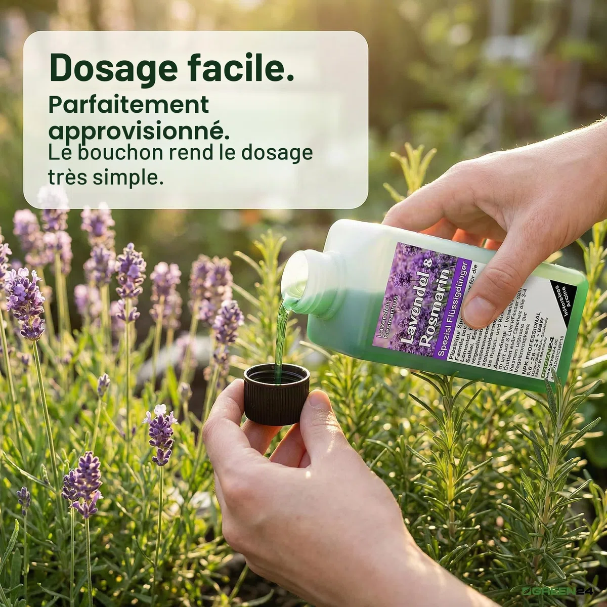 Engrais NPK complet pour plantes de lavande et romarin (lavendula, romarin, menthe, sauge, basilic)