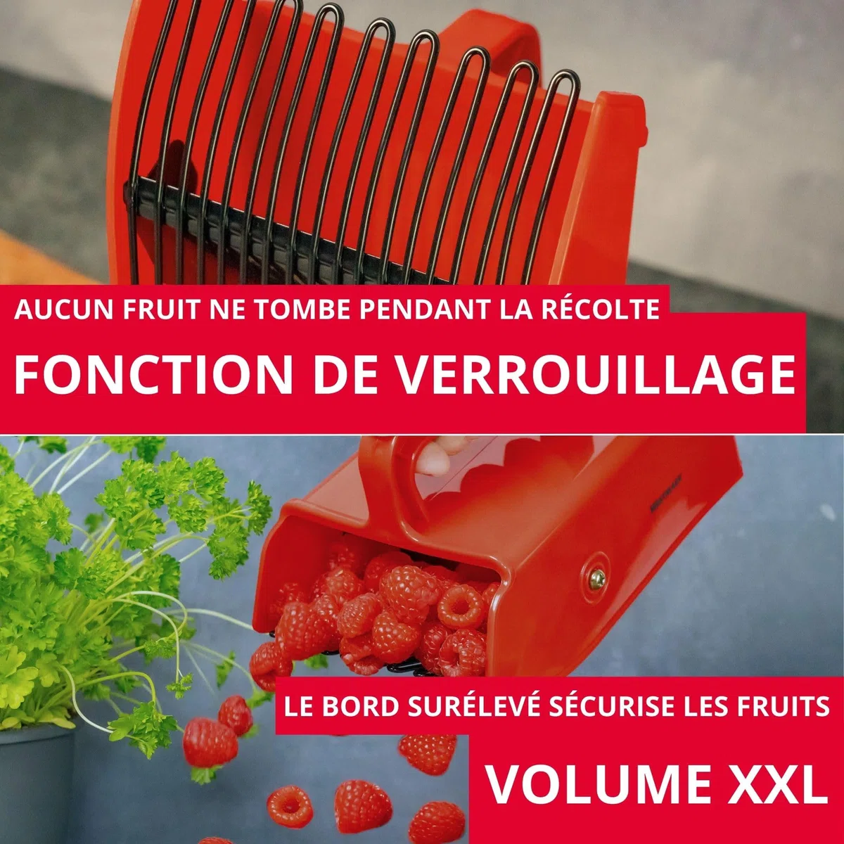 Westmark Cueilleur de Baies - Idéal pour Ramasser les Myrtilles et autres Baies Sauvages, pour le Jardin, sans Arêtes Vives, Manche Ergonomique - sans BPA
