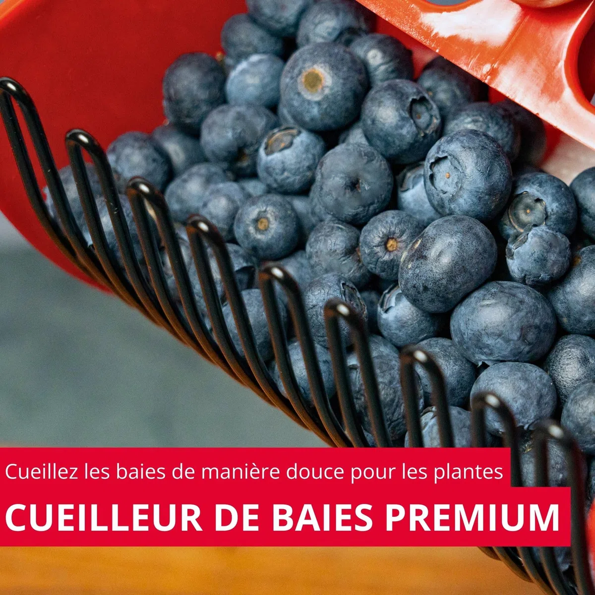 Westmark Cueilleur de Baies - Idéal pour Ramasser les Myrtilles et autres Baies Sauvages, pour le Jardin, sans Arêtes Vives, Manche Ergonomique - sans BPA