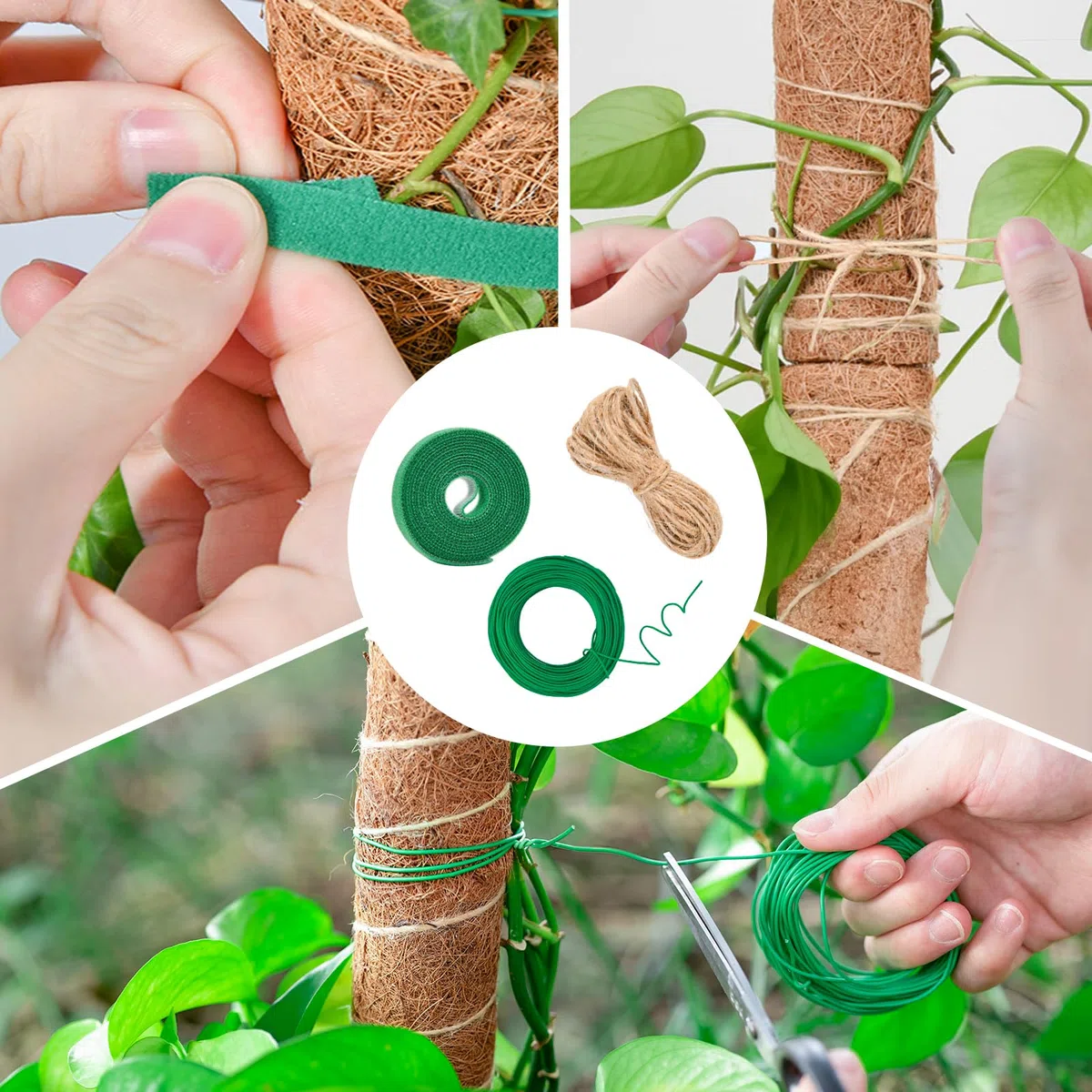 Tuteur Monstera pour Plantes, SproutMaven Tuteur Plante Grimpante 4 Pièces Bâton de Coco de 40cm, Poteau Totémique pour Plantes de Jardin et Pots