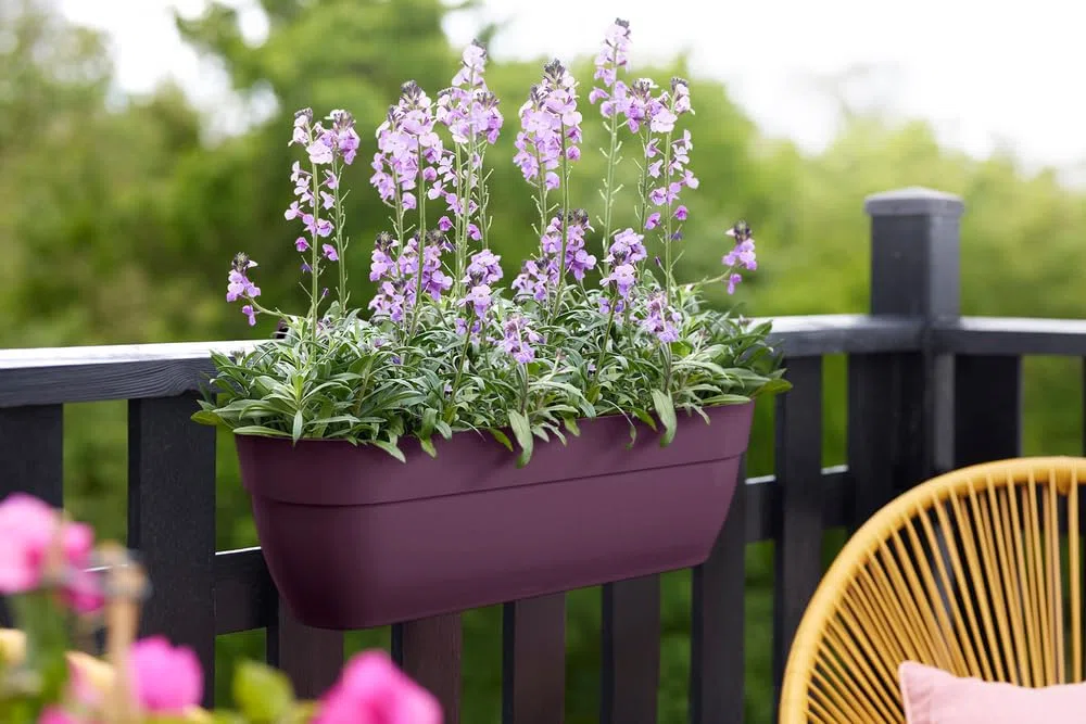 Elho Vibia Campana Easy Hanger XL 58 - Planteur pour Balcon & Extérieur - Plastique 100% Recyclé - L56 x B26.8 x H23.7 cm - Mauve Érable