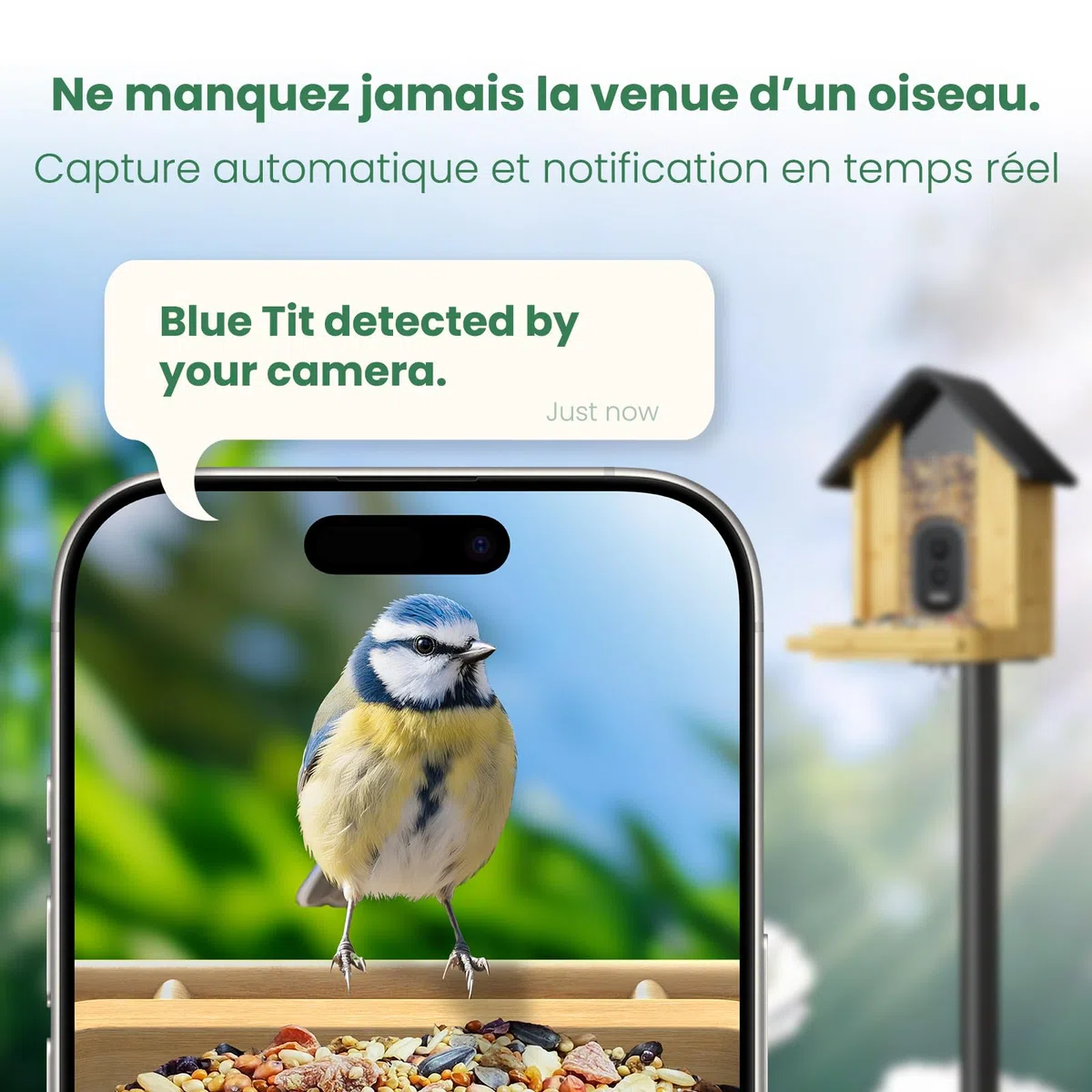 Mangeoire Oiseaux Caméra, Bambou Panneau Solaire | UHD 2,5K Identification IA, Vidéos Photos Temps Réel, sans Fil Extérieur, Déco Jardin pour Amateurs Ornithologie