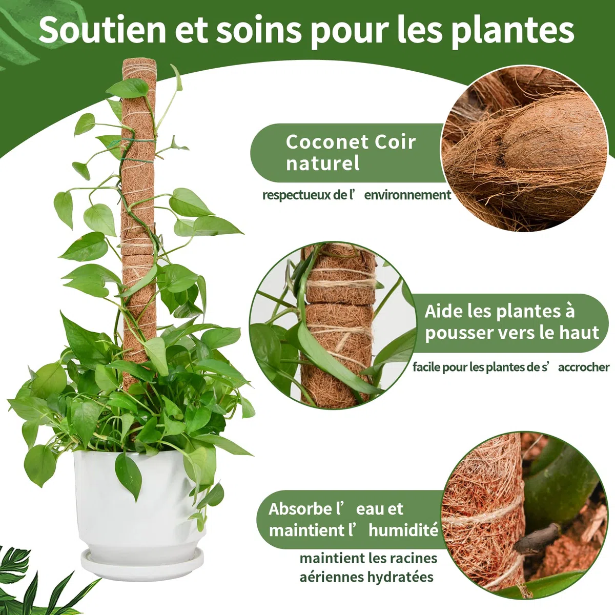 Tuteur Monstera pour Plantes, SproutMaven Tuteur Plante Grimpante 4 Pièces Bâton de Coco de 40cm, Poteau Totémique pour Plantes de Jardin et Pots