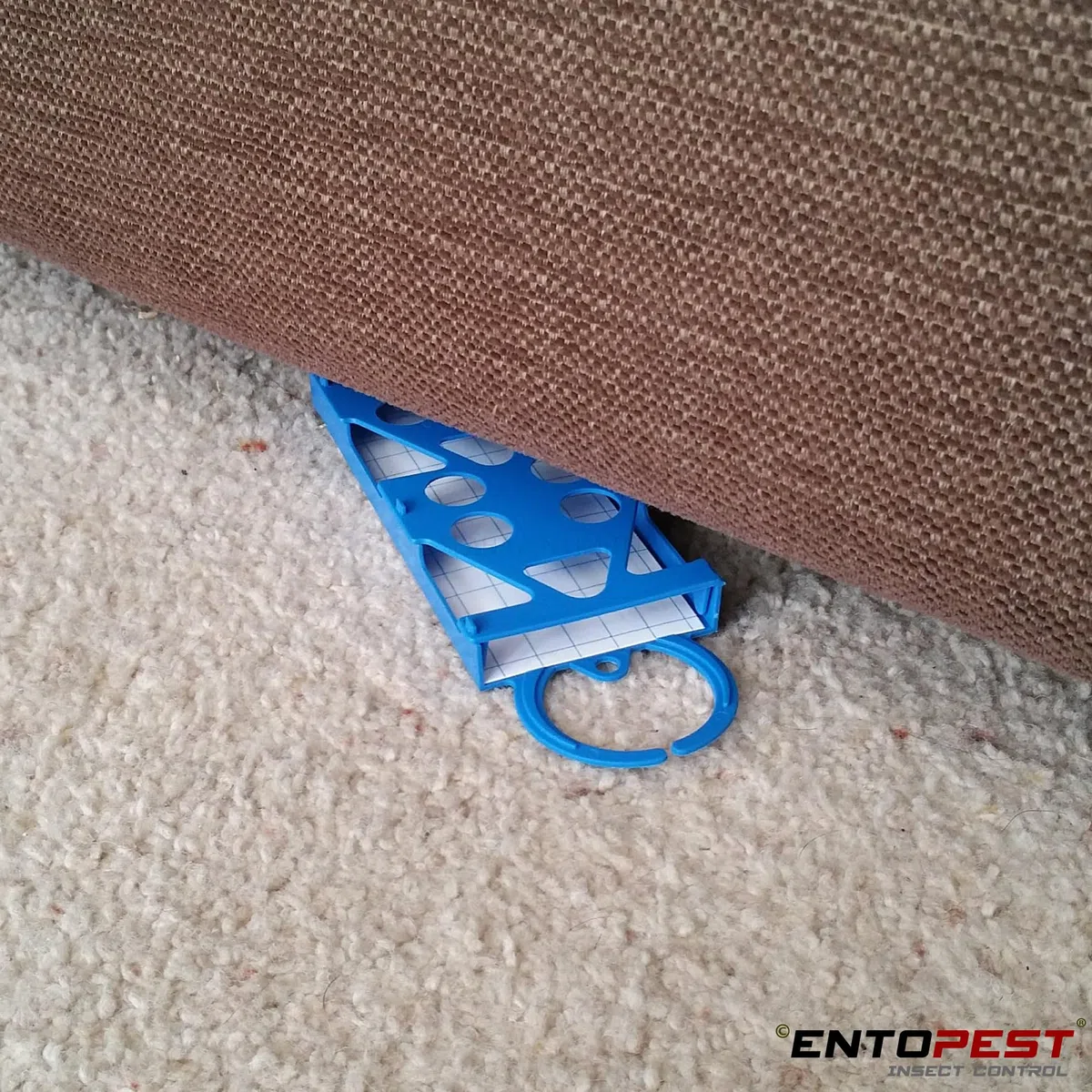 EntopeTraitement antimites Entopest | 10 recharges et 5 Supports réutilisables | Traitement antimites pour garderobe | Bandes antimites | Pastilles adhésives antimites | Pièges à Mites à phéromones